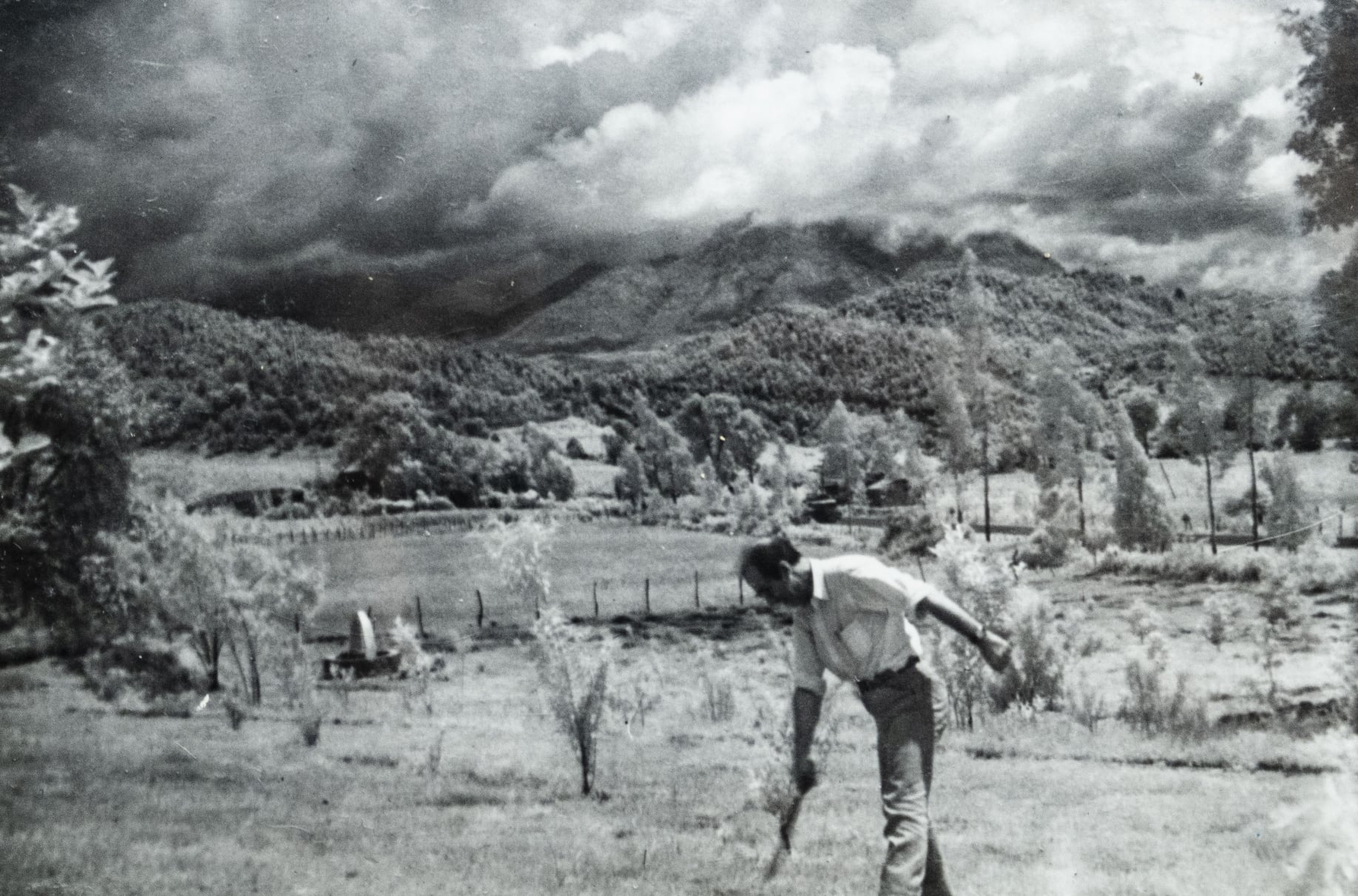 Germán campo ameyalli