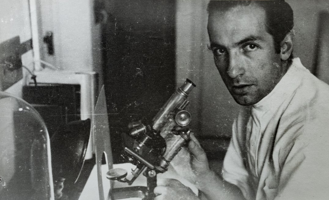 Somolinos microscopio